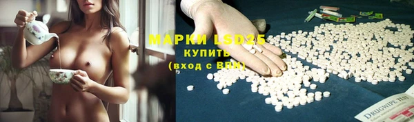 мдпв Касимов