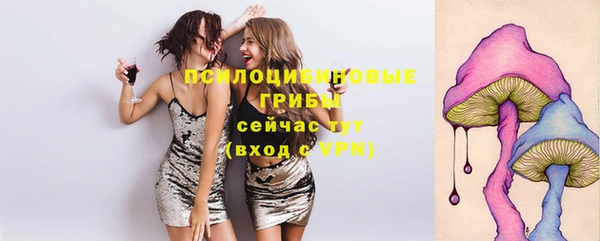 тгк Карпинск