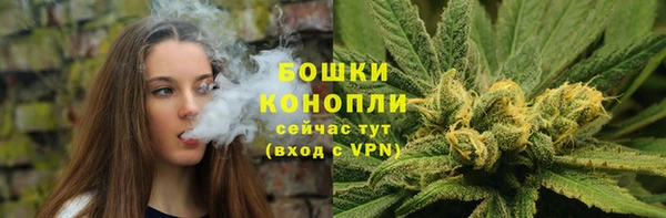 тгк Карпинск
