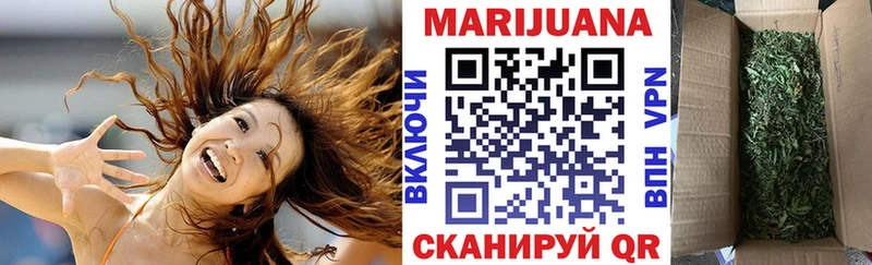 Купить  Кубинка  Бошки Шишки план 
